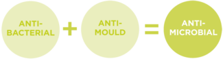 anti-mould infographic
