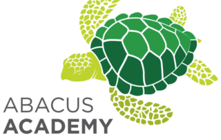 Abacus Academy Turtle